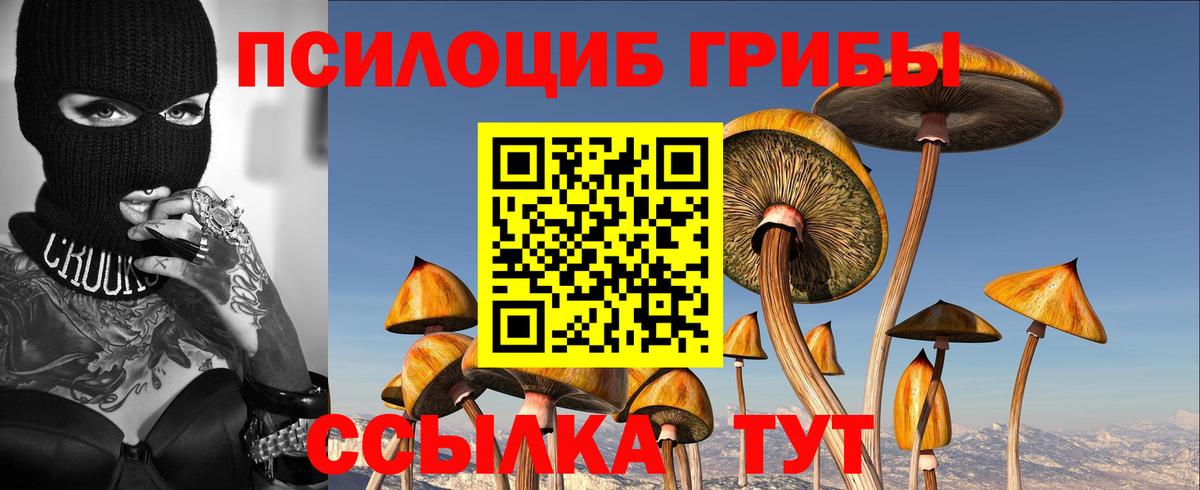 Псилоцибиновые грибы MAGIC MUSHROOMS Кудымкар